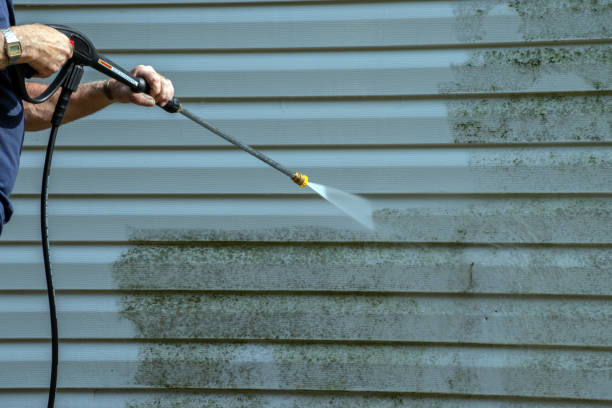 Best Soft Washing  in Franklin Furnace, OH